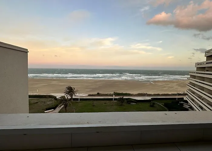 Vue Azur - Terrasse Parking Direct Access * קאנט אן רוסיון